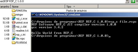 RSP RSP_C Screenshot